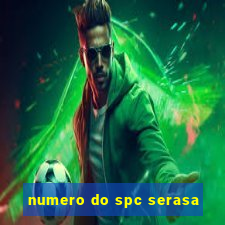 numero do spc serasa