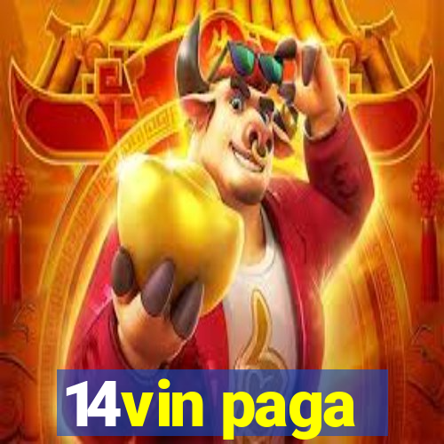 14vin paga