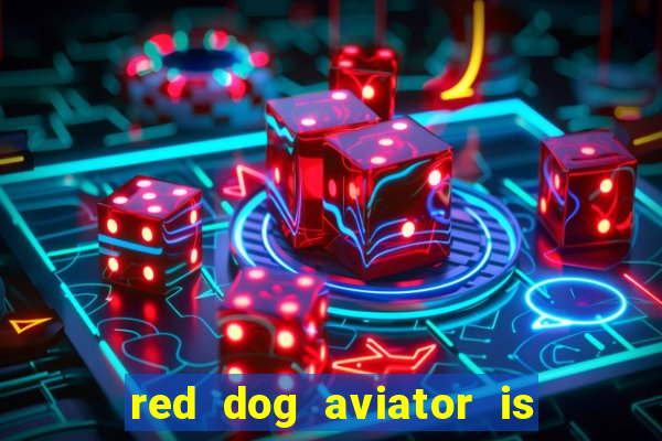 red dog aviator is real or fake