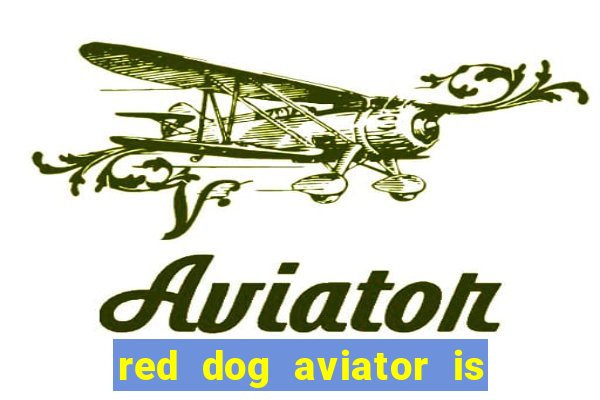 red dog aviator is real or fake