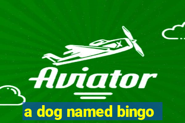 a dog named bingo