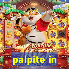 palpite in