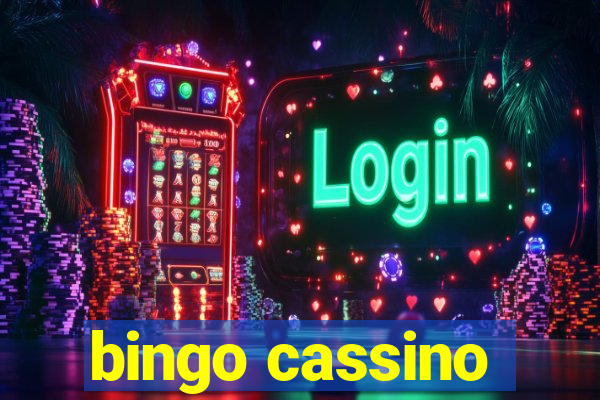 bingo cassino