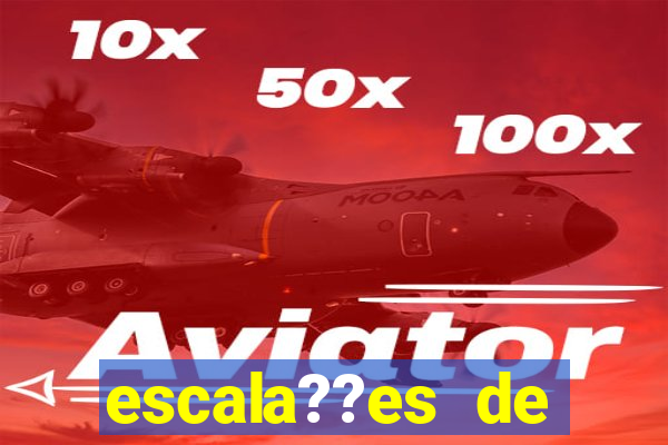 escala??es de flamengo x esporte clube bahia