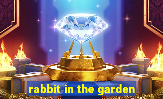 rabbit in the garden