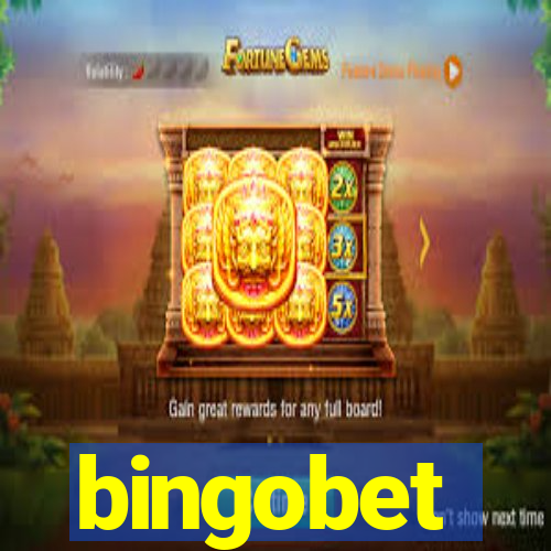 bingobet