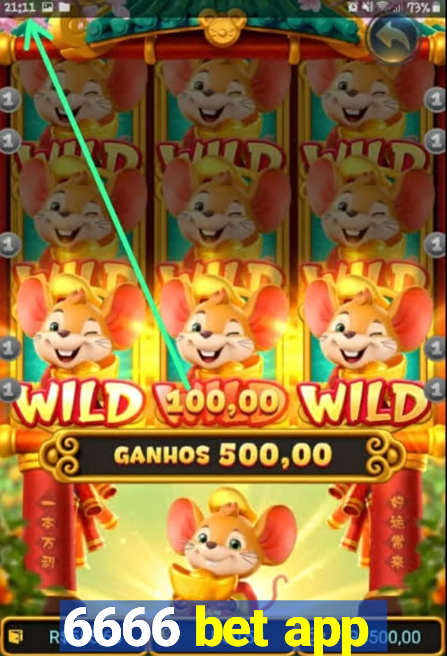 6666 bet app