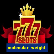 molecular weight beta actin