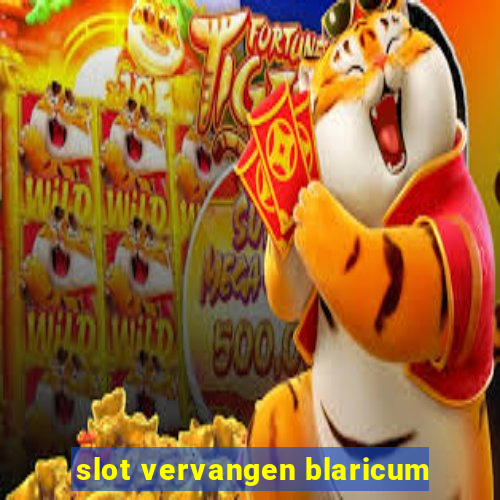 slot vervangen blaricum