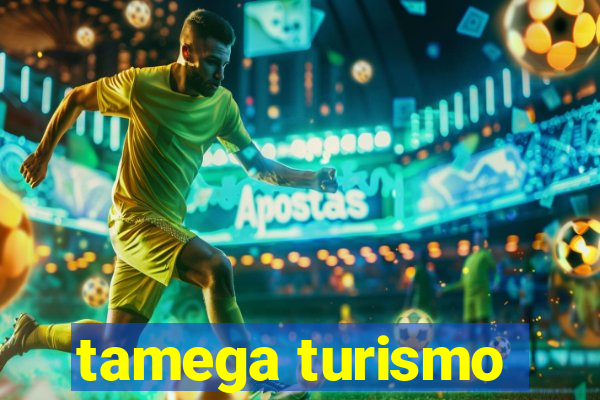 tamega turismo