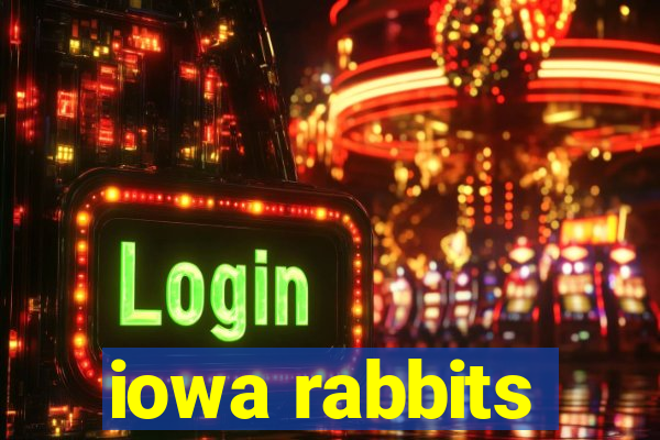 iowa rabbits