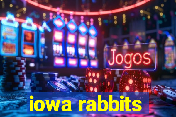 iowa rabbits