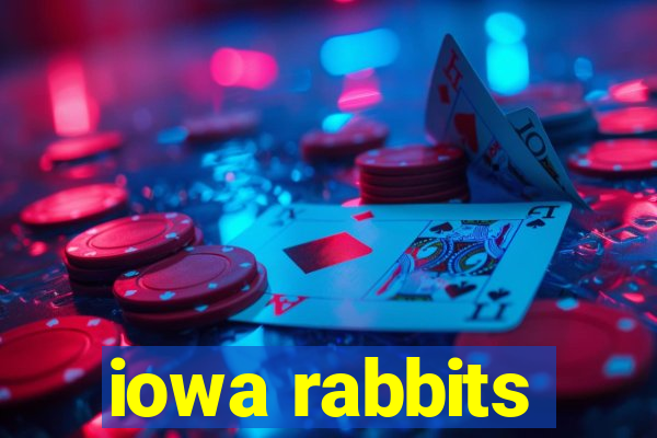 iowa rabbits