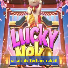 sinais do fortune rabbit