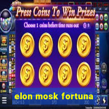 elon mosk fortuna