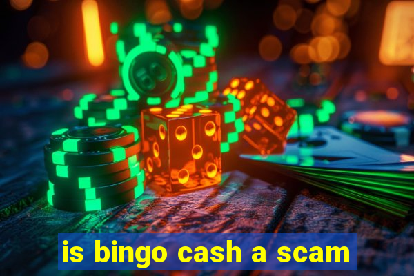 is bingo cash a scam