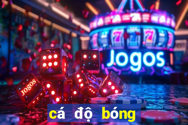 cá độ bóng đá online