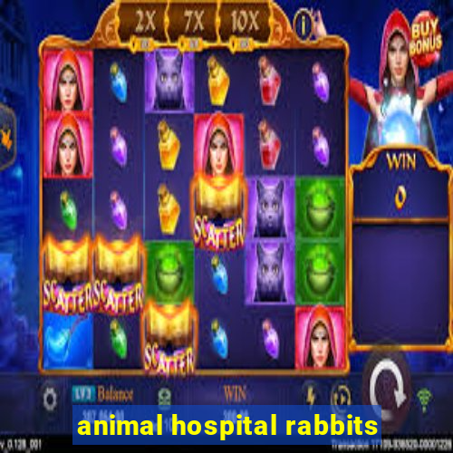 animal hospital rabbits