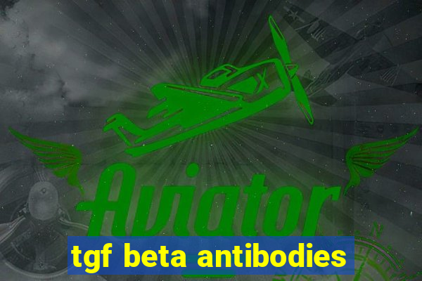 tgf beta antibodies