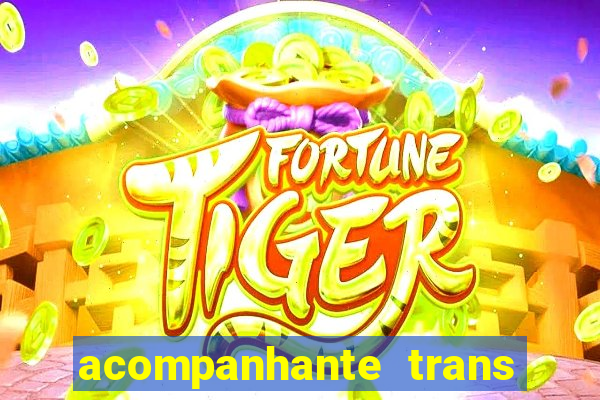 acompanhante trans em santos