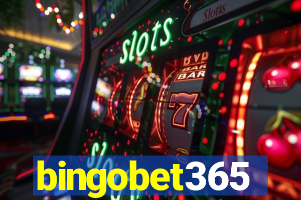 bingobet365