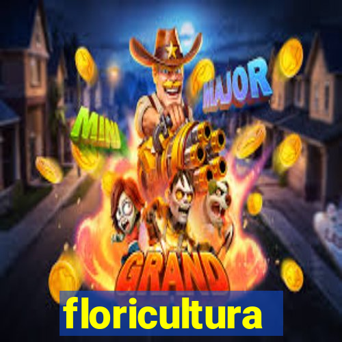 floricultura cruzeiro novo