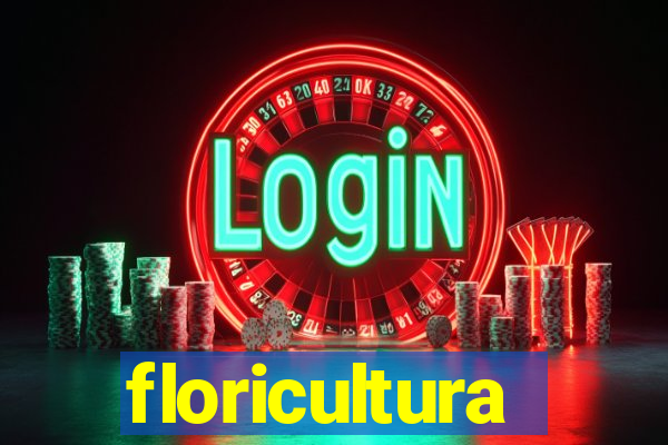 floricultura cruzeiro novo