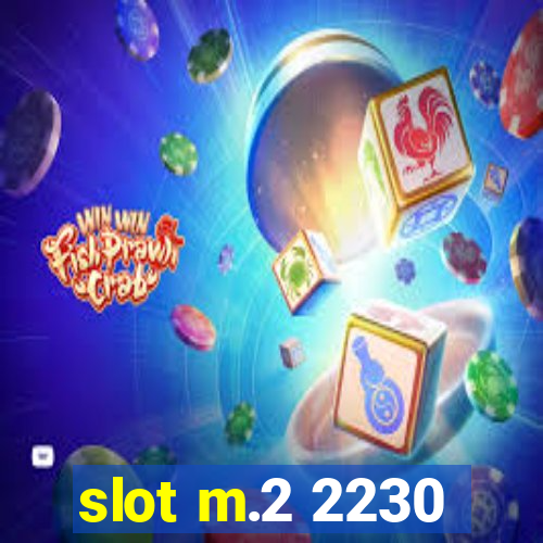 slot m.2 2230