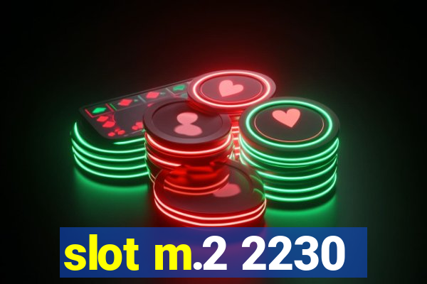 slot m.2 2230