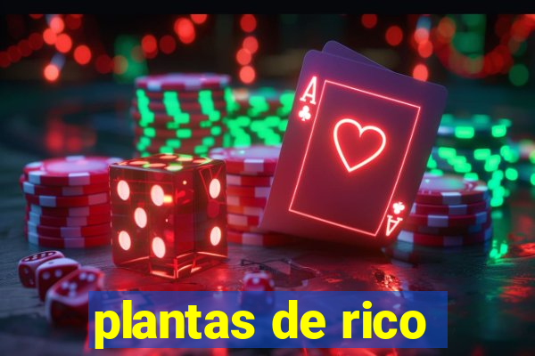 plantas de rico