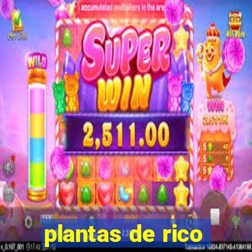 plantas de rico