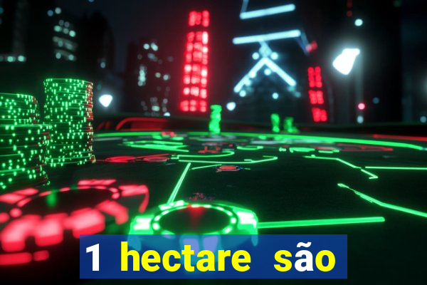 1 hectare são quantas tarefas na bahia