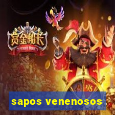 sapos venenosos