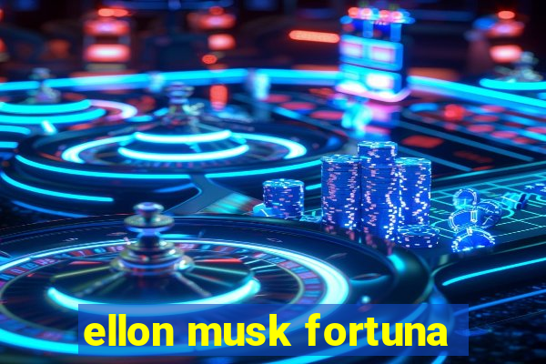 ellon musk fortuna