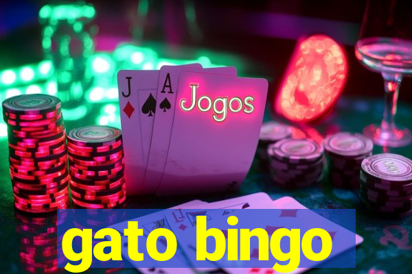 gato bingo