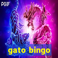 gato bingo