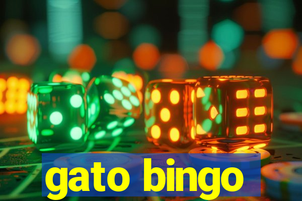 gato bingo