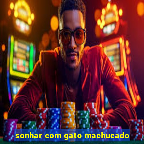 sonhar com gato machucado