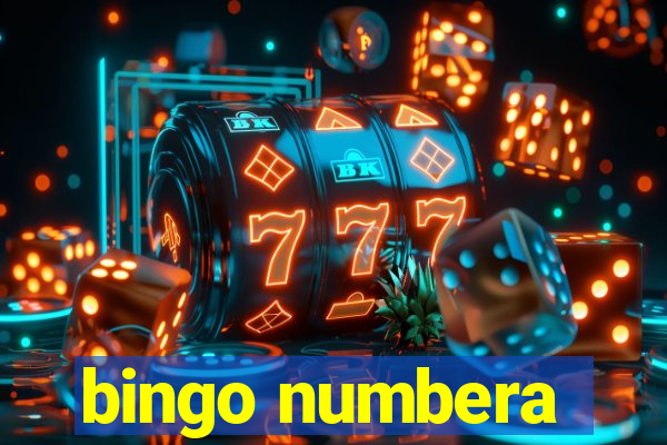 bingo numbera