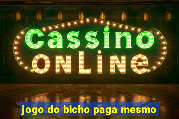 jogo do bicho paga mesmo