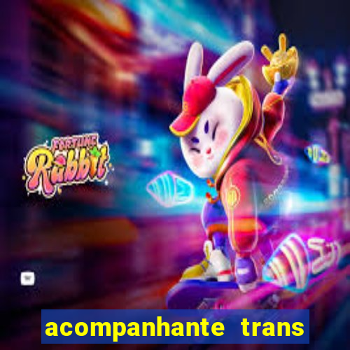 acompanhante trans baixada fluminense