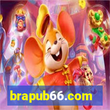 brapub66.com