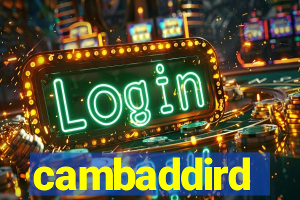 cambaddird