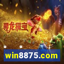 win8875.com