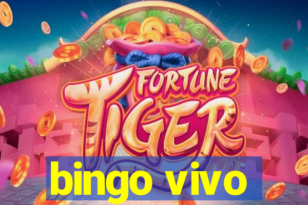 bingo vivo