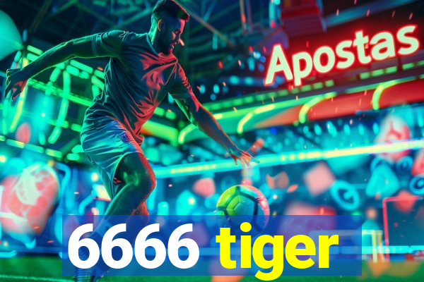 6666 tiger