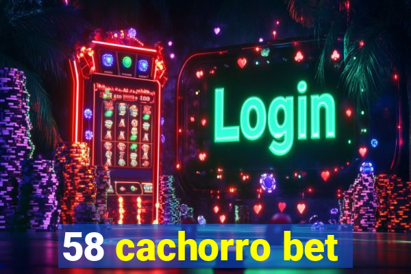 58 cachorro bet