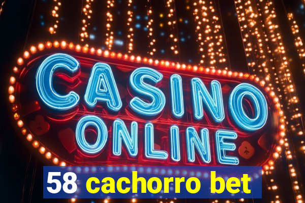 58 cachorro bet