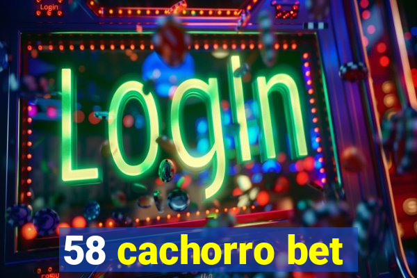 58 cachorro bet