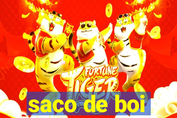 saco de boi